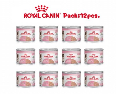 Royal Canin Mother&Babycat Mousse[CAN]12pcs.x195g.